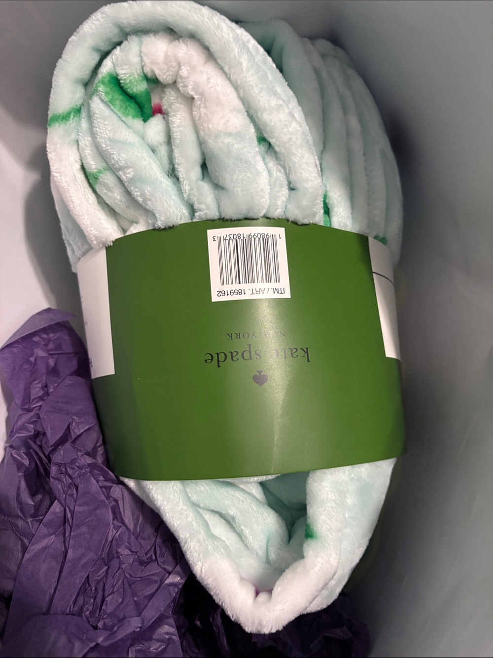 kate spade Mint Plush Blanket with Green Accent